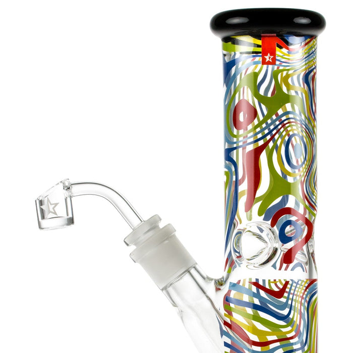 FAMOUS DESIGN AMNESIA 10 IN DAB RIG